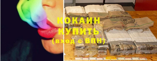 эйфоретик Бородино