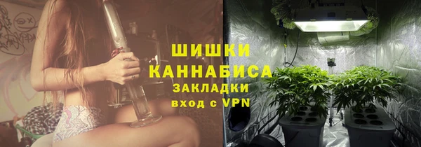 эйфоретик Бородино