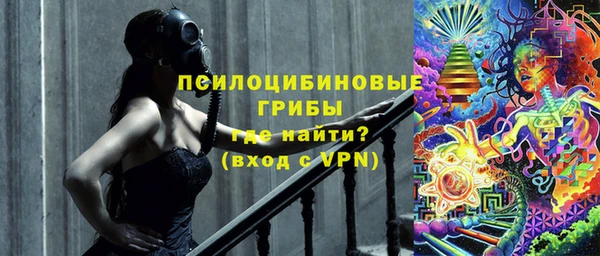 тгк Бронницы