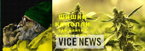 эйфоретик Бородино