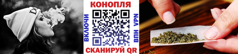 купить наркотики цена  Тбилисская  Канабис сатива 